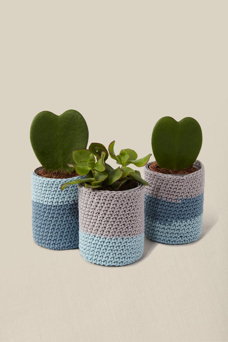 the peaceful plant pots crochet kit