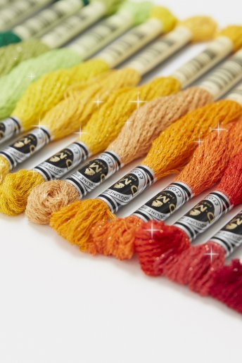 Mouliné Étoile Embroidery Thread 