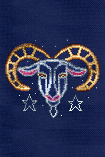 Star sign cross stitch kit - Capricorn