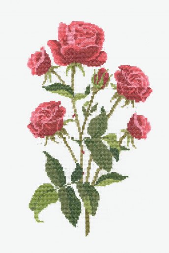 Kit point de croix Roses