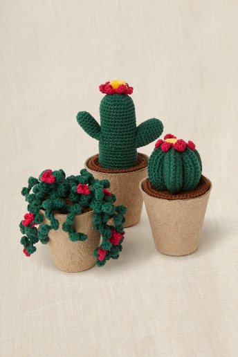 Crochet Cactus - Crochet Kit - Gift of stitch