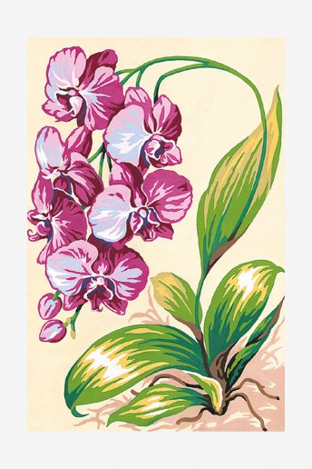 Antique Canvas - Orchids