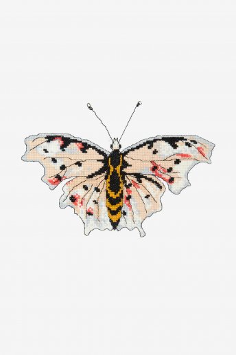 Butterfly Victoria - pattern