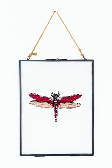 Dragonfly diana - Diagramme point de croix