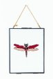 Dragonfly diana - Diagramme point de croix thumbnail