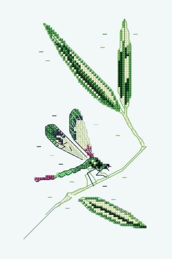 Dragonfly  libellule en liberté - Diagramme point de croix