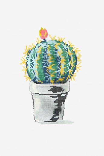Nature cactus boule - Diagramme point de croix