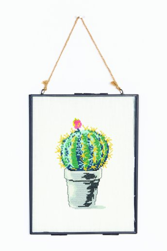 Nature cactus globo - diagrama
