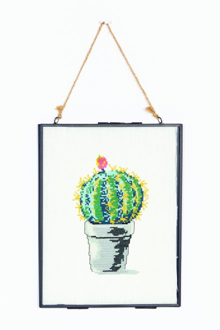 Globe Cactus  pattern