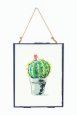 Nature cactus globo - diagrama thumbnail