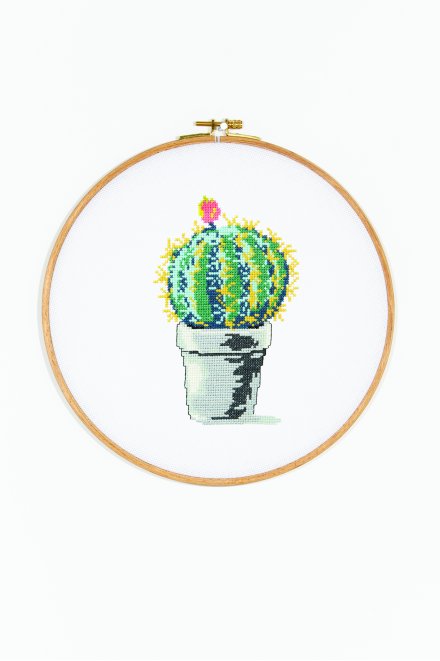 Globe Cactus - pattern