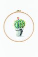 Globe Cactus  pattern thumbnail