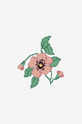 Poppy Flower - pattern