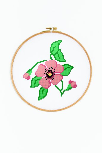 Poppy Flower - pattern
