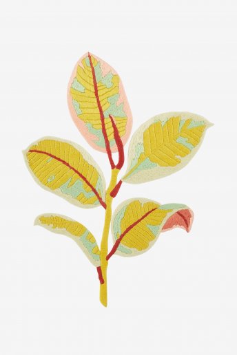 Variegated Rubber Plant - pattern