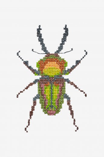 Beetle - pattern