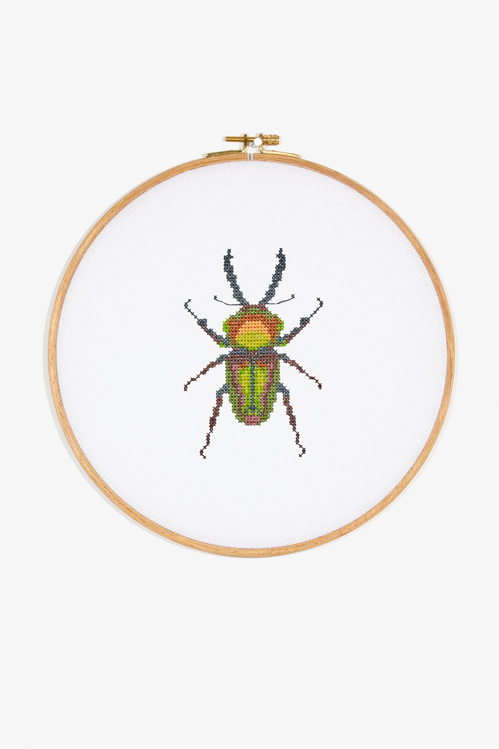 Beetle modern cross stitch pattern instant download #CS030