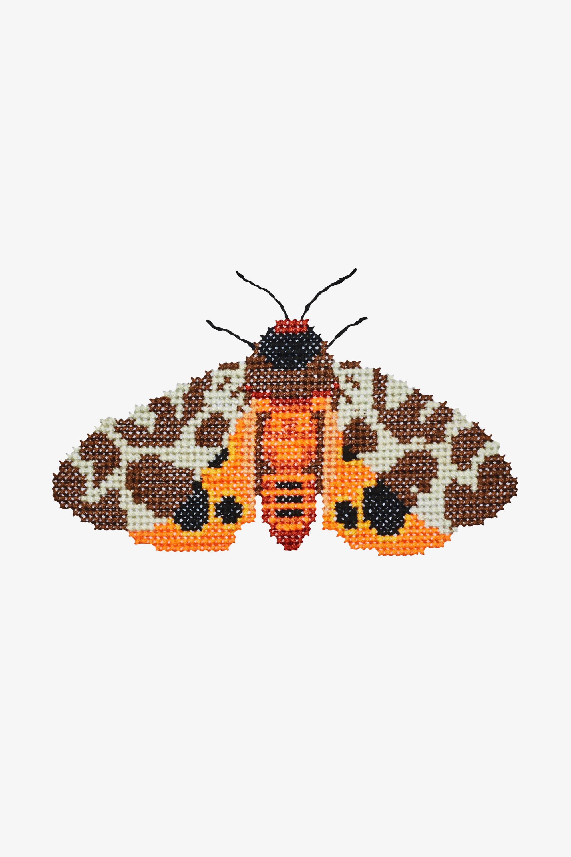Cross Stitching pattern Moth Fig 04