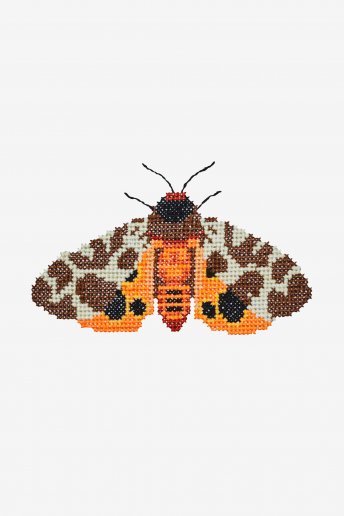 Moth - pattern