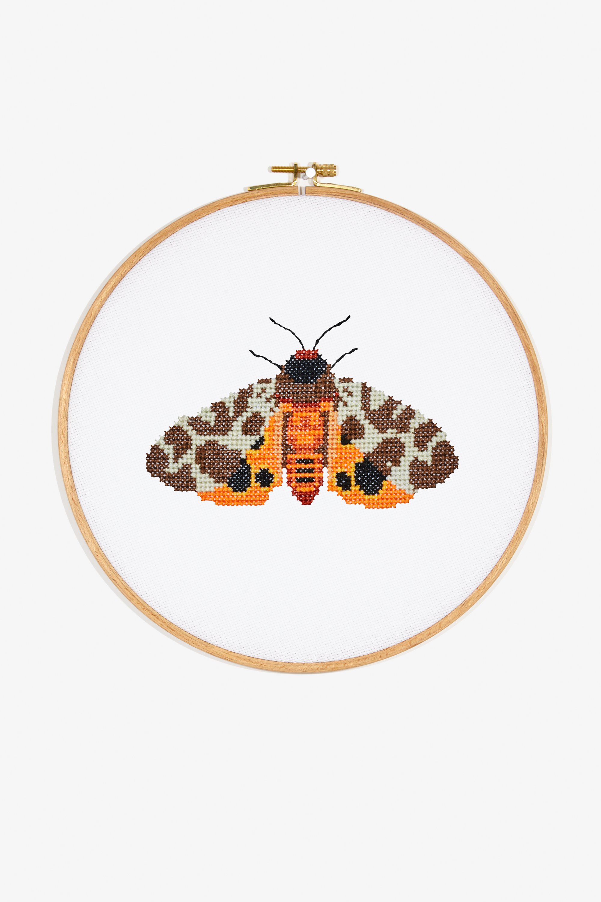 Cross Stitching pattern Moth Fig 04