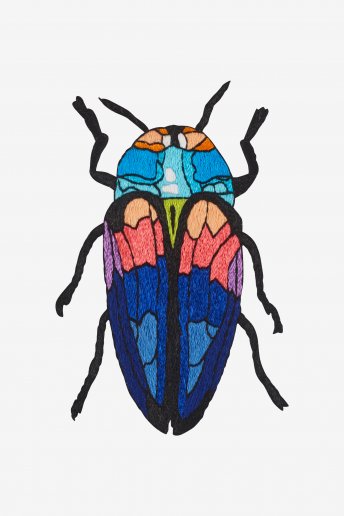 Tricoloured Jewel Beetle - pattern