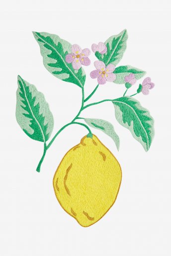 Citron - motif broderie