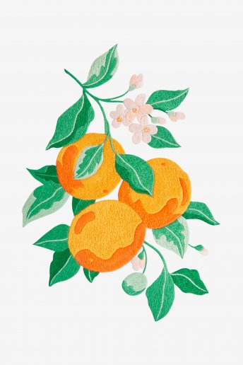 Fleurs d'oranger - motif broderie