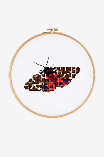 Garden Tiger Moth - pattern