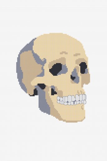 Skull - pattern