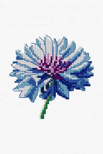 Bleuet flower - pattern