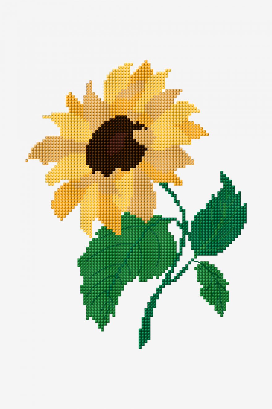 Sunflower - pattern - Free cross stitch patterns - DMC