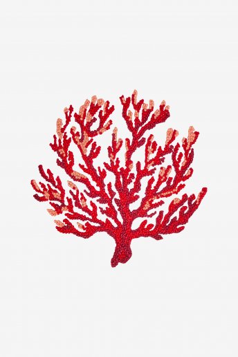 Coral - pattern