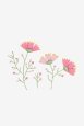 Peonías rosas - Diagrama de bordado thumbnail