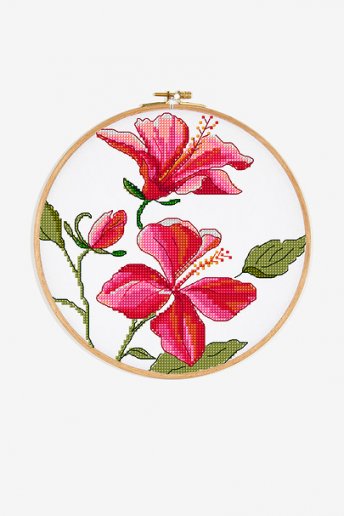 Hibiscus - pattern