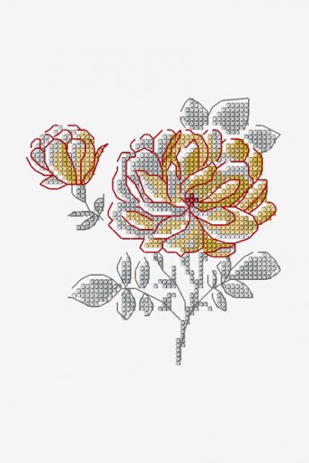 Camellia - pattern