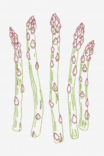 Asparagus - pattern