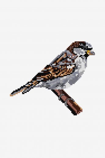Sparrow - pattern