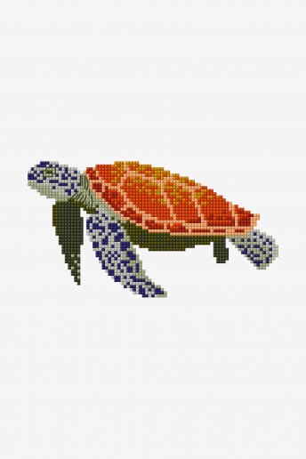 Turtle  - pattern