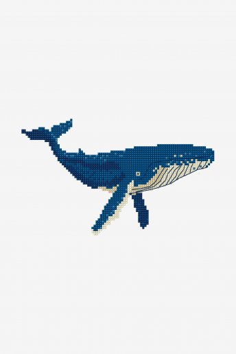 Blue Whale - pattern