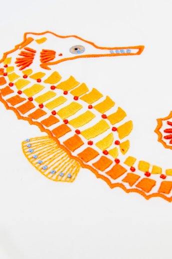 Seahorse - pattern