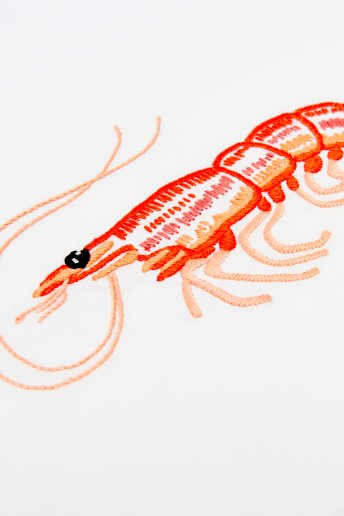 Shrimp - pattern