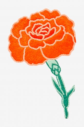 Carnation - pattern