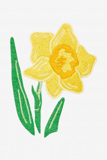 Daffodil - pattern