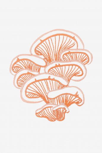 Pink Oyster Mushroom - pattern