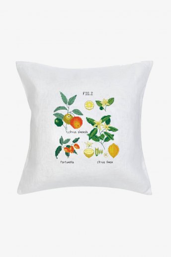 Botanical Citrus - pattern