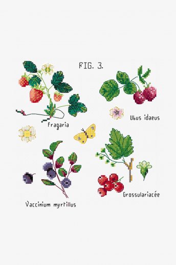 Botanical Berries - pattern