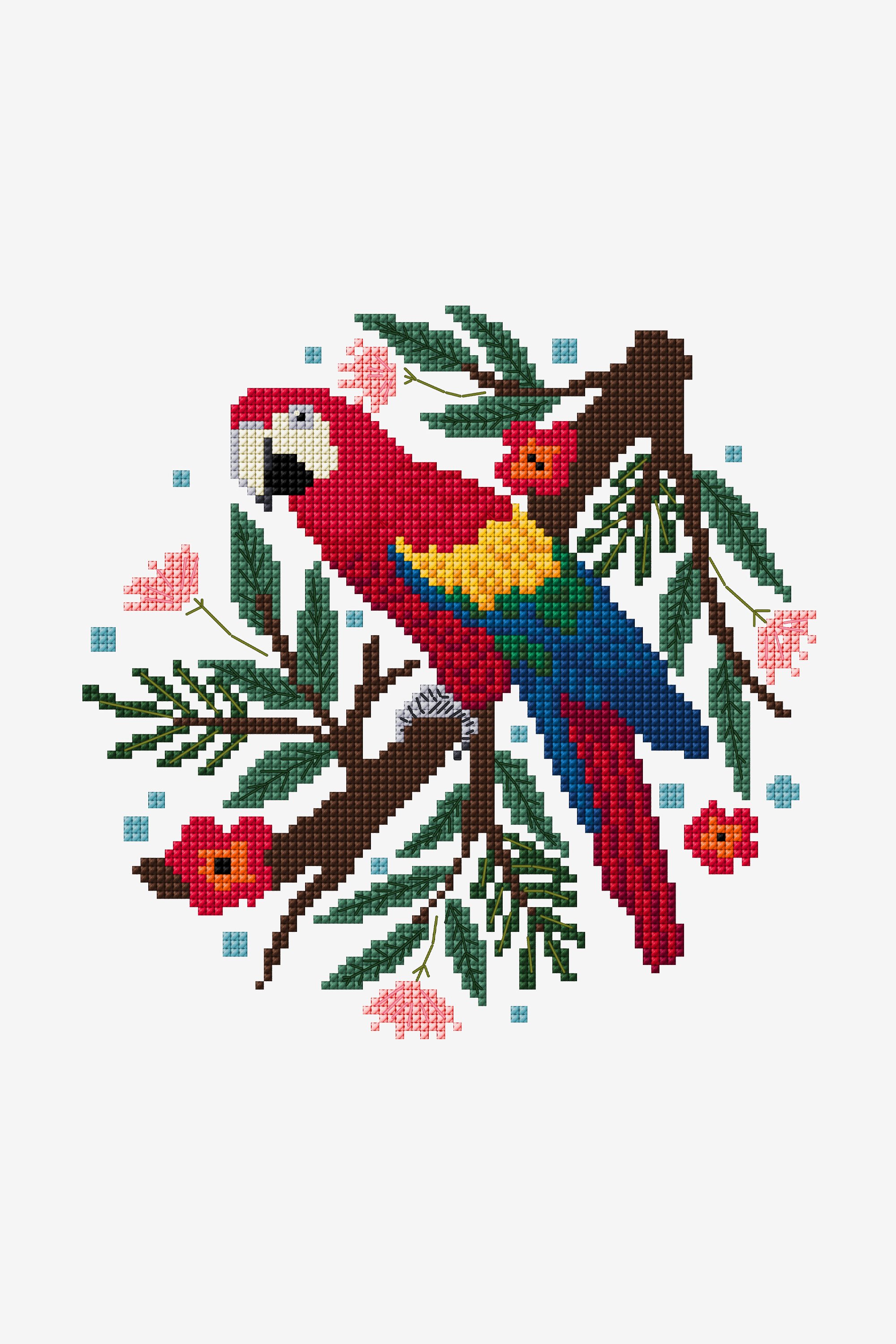 scarlet macaw cross stitch graph