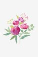 Peony Bouquet - Pattern thumbnail