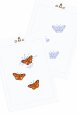 Butterflies - Pattern thumbnail
