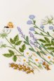 Wildflower Meadow - Pattern thumbnail